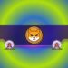 Shiba Inu (SHIB) Might be Gearing up for a 130% Price Increase: Analyst