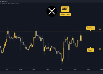 Ripple After the Crash: What’s Next for the XRP Price?