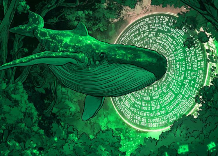 Crypto Whales Accumulate One Ethereum (ETH) Rival From Binance and Kraken: Lookonchain