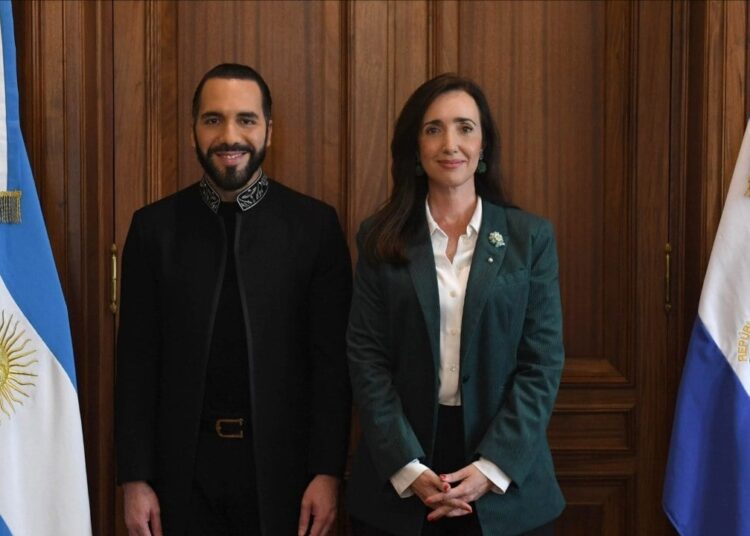 Bukele Advises Argentine Vice President on Bitcoin and Volcano Bonds