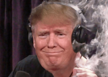 MAGA (TRUMP) Price Up 17%, Is $DUM The Next PolitFi Crypto to Explode