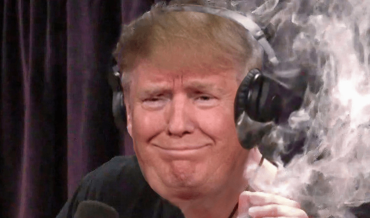 MAGA (TRUMP) Price Up 17%, Is $DUM The Next PolitFi Crypto to Explode