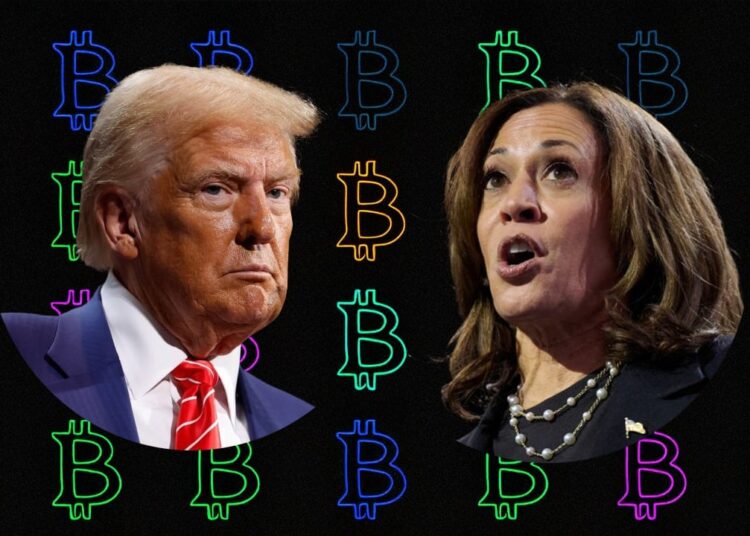 Study: Trump Win Likely to Spark Bullish Trend in Crypto Prices