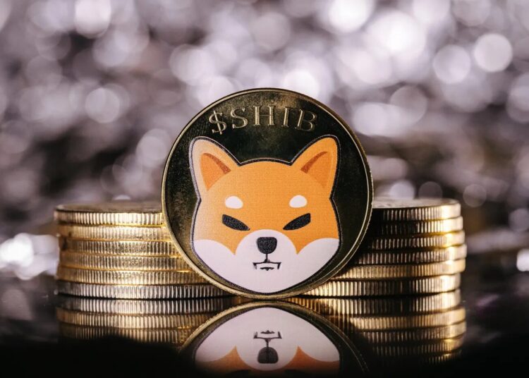 Is Shiba Inu Poised for a Breakout After a Surge in Burn Rate