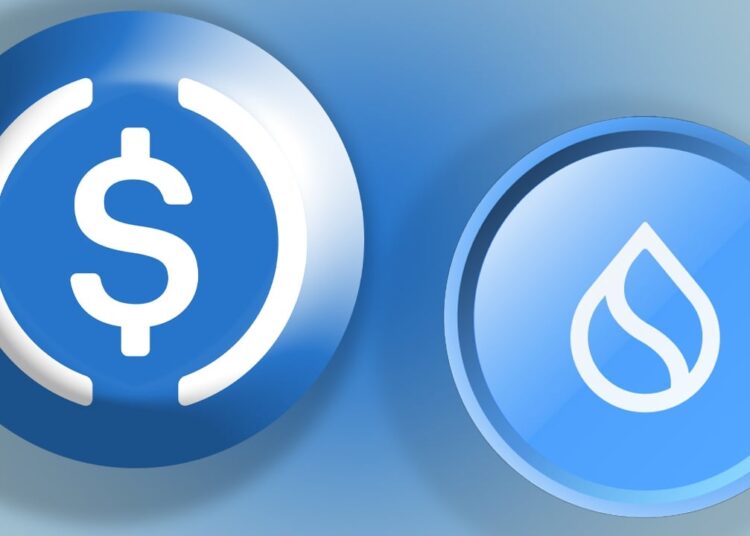 Circle Brings USDC to Sui: What This Means for Bridged Tokens