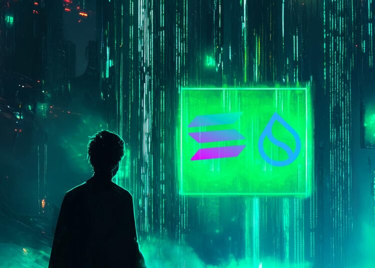 Top Crypto Trader Says Large-Cap Memecoin ‘Still Turbo Strong,’ Updates Outlook on Solana and Sui