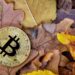 Bitcoin Breaks The Mold With Strong September Gains, But Will It Continue?
