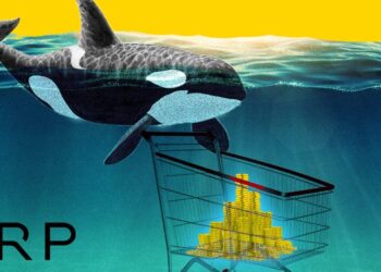Ripple (XRP) Whale Who Sold Entire $16 Million Bag Reveals ETFSwap (ETFS) And Aptos (APT) As Next Big Bet