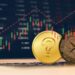 Ripple Whale Decrease Holding Due to SEC Appeal, They Migrate to this $0.03 Alternative