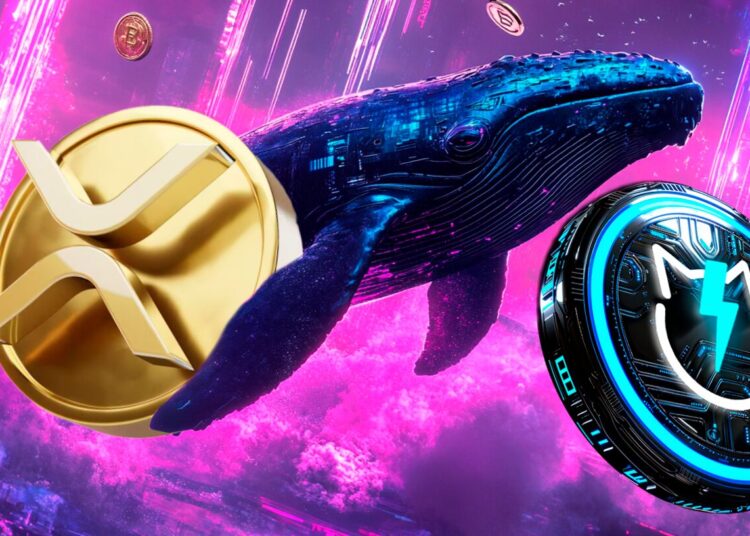XRP Evades Crash and XRP Posts Price Growth while JetBolt Whale Frenzy Surges