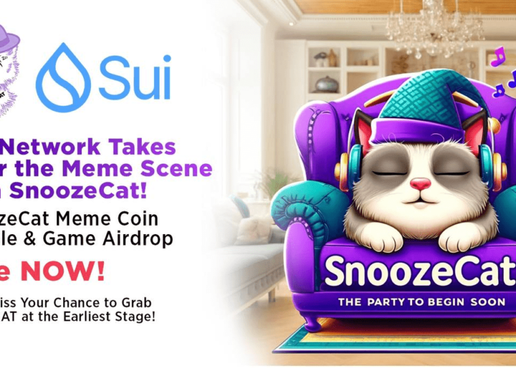 SUI Network Launches SnoozeCat: The Next Big Meme Coin Amidst Bull Run