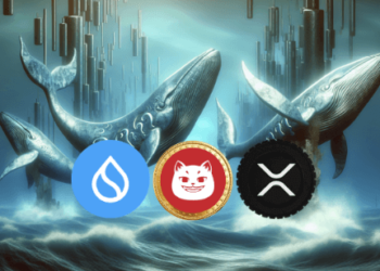 Crypto Whales Quietly Hoard SUI, XRP and CATZILLA — 6,500% Growth Potential on the Horizon!