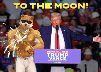 Meme Coin Frenzy as Trump’s Win Spurs DOGE Investors — 150,000x Potential!