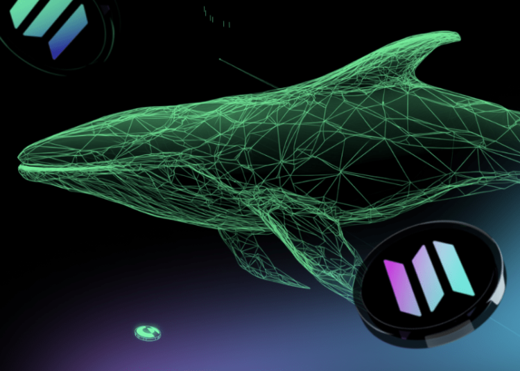 As Solana (SOL) and Ripple (XRP) Surge, Investors Are Turning Their Attention To A New Altcoin Set To Revolutionize DeFi