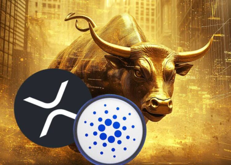 XYZVErse Predicted to Climb to $6 From $0.000667, With ADA and XRP Looking to Reach $3 by 2025!