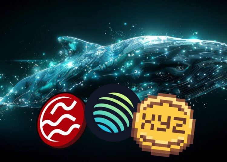 Whales Accumulate SEI, Jupiter, and XYZVerse Ahead of Skyrocketing Price Predictions!