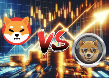 Teenage Crypto Star Who Earned $5M on SHIB Predicts the Next Memecoin to Deliver Massive Returns!