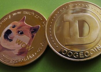 DOGE Nears 50 Cents as Meme Coins Dominate