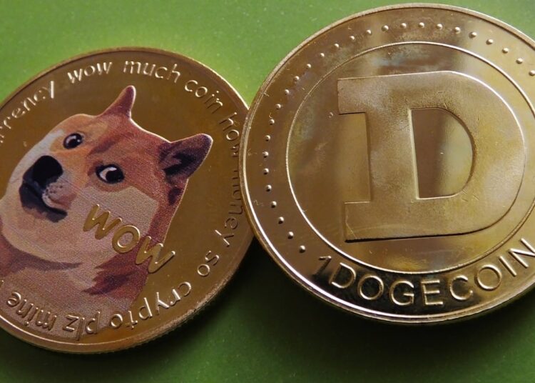 DOGE Nears 50 Cents as Meme Coins Dominate