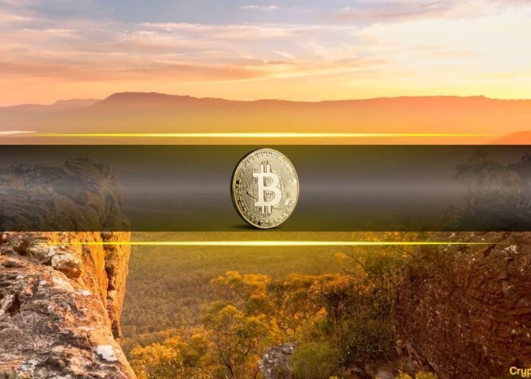 This Is How the Crypto Market Will Look When BTC Price Tops This Cycle: Santiment