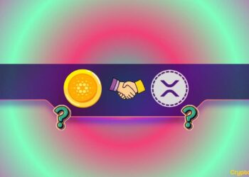 Ripple, Cardano Mega Partnership in the Making? Community Speculates