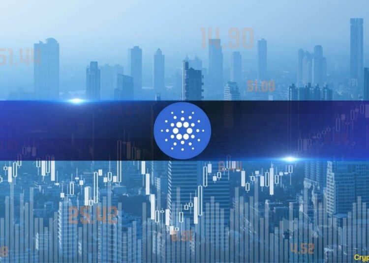 Cardano Foundation Releases 2023 Financial Report, Unveils Expenses Across 3 Major Areas