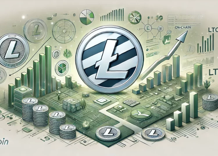 What On-Chain Data Says About LTC’s Path Ahead