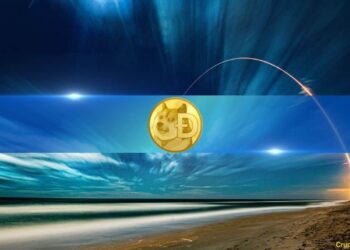 Bitcoin Failed to Reach $100K but Dogecoin Explodes by Double Digits to Almost $0.5