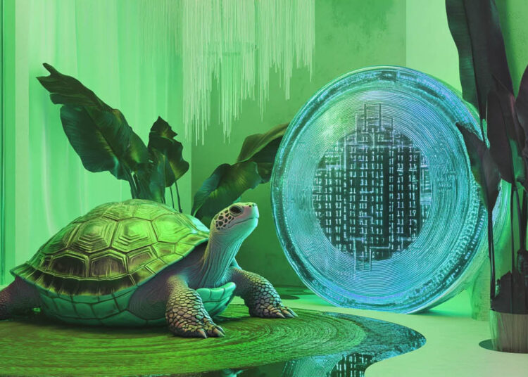 This Solana Rival Is Looking Great Amid Bitcoin Pullback, Says Top Crypto Analyst