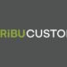 Paribu Announces Digital Asset Custody Service for Institutional Clients Worldwide