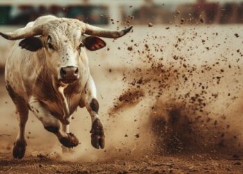 Cryptoquant Data Points to Potential Bitcoin Surge Beyond $146K