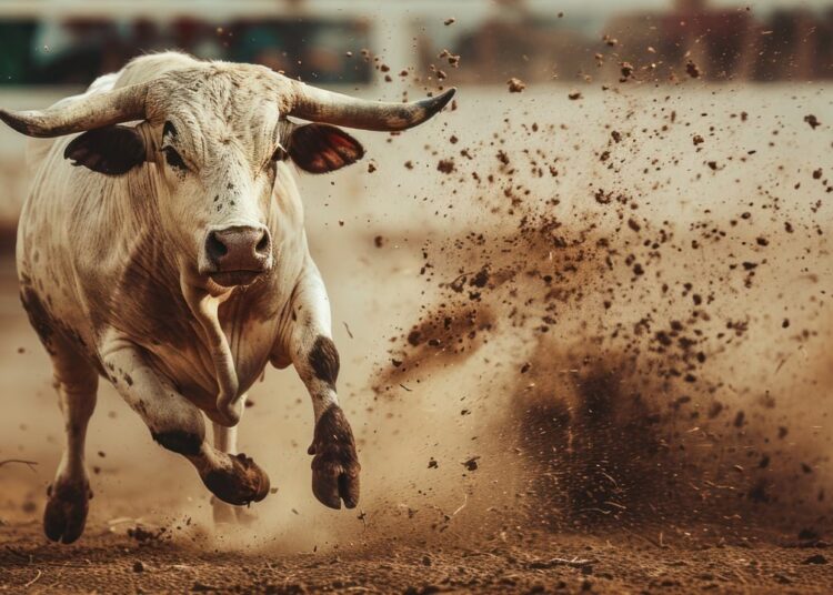 Cryptoquant Data Points to Potential Bitcoin Surge Beyond $146K