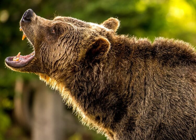 Crypto Bloodbath: $581M in Derivatives Liquidated Amid Bitcoin’s Fall