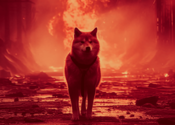 Shiba Inu Responds to Shibarium’s Integration of Chainlink’s CCIP