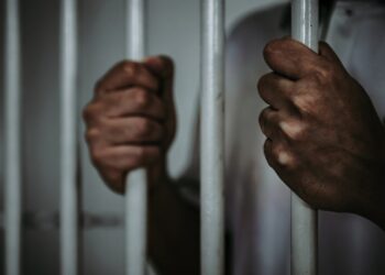 Nigerian Crypto Industry Players Applaud Proposal to Jail Ponzi Operators