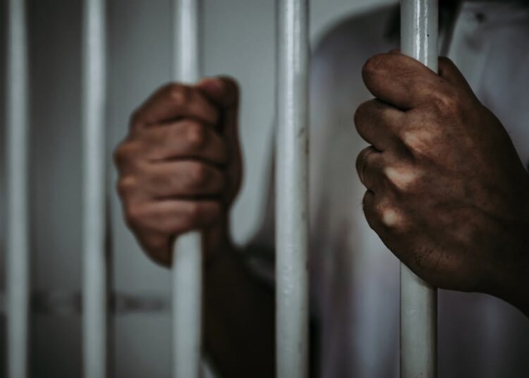 Nigerian Crypto Industry Players Applaud Proposal to Jail Ponzi Operators