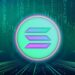 Meme Coins Soar as Solana Hits $7 Billion Daily Trading Volume