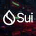 Sui network outage triggers 7% price drop despite broader bull market