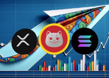 SOL and XRP Holders Eye New Cat Meme Sensation on Solana, Expected to Beat Dog-Themed Coins