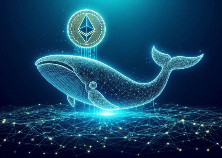 Ethereum Whales Join RCO Finance’s Token Presale as PEPE Sees Increasing Selling Pressure
