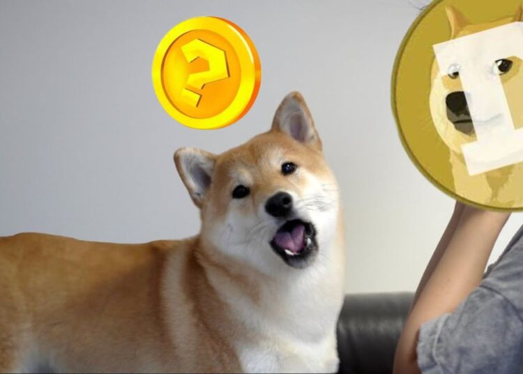 From Humble Beginnings to Wealth Untold—Can XYZ Coin With Over 15,000% Outdo DOGE’s Legacy?