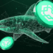 A Generational Buying Signal Seen With Toncoin (TON) and Binance Coin (BNB) is Now Flashing for This New Crypto