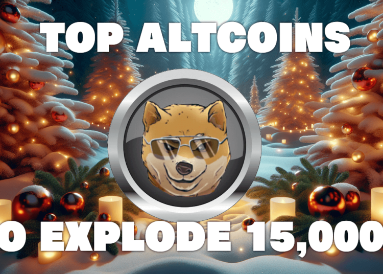 Turn $500 Into $50,000 With These 4 Crypto Picks Before Christmas