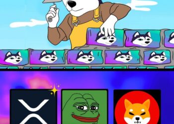2024 is Almost Over: Top Altcoin Picks for 2025