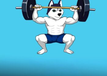 Gear Up for 2025 with Husky Inu (HINU)