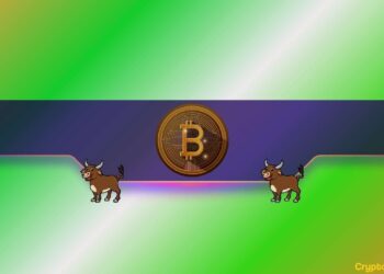 Bitcoin (BTC) Price Surge on the Horizon? This Vital Metric Suggests So