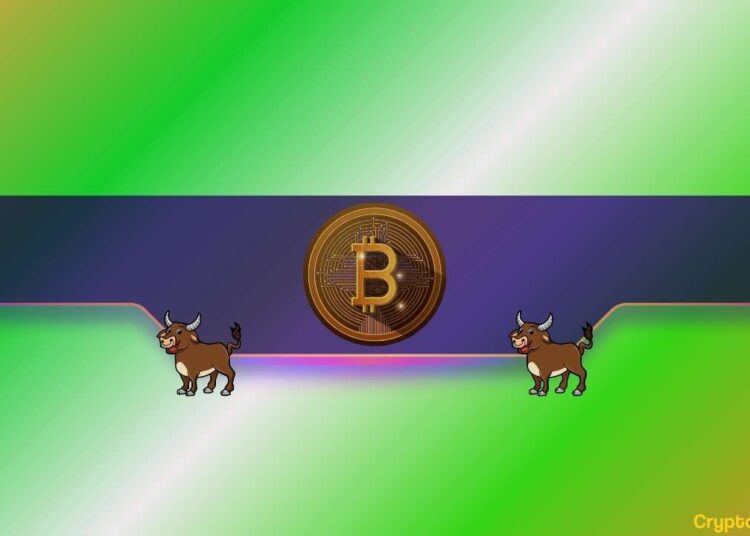 Bitcoin (BTC) Price Surge on the Horizon? This Vital Metric Suggests So