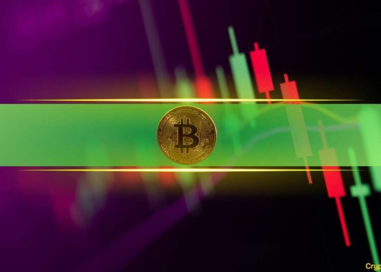 These Cryptos Increase The Most as Bitcoin Trades Around $97K (Weekend Watch)