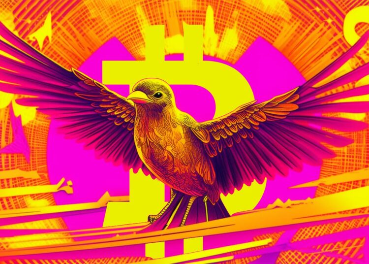 Glassnode Co-Founders Break Down Bitcoin’s Latest Breakthrough, Say Solana (SOL) Is Next