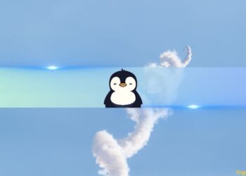 PENGU Overtakes BONK, Becomes Top Meme Coin on Solana at $2.6B Valuation